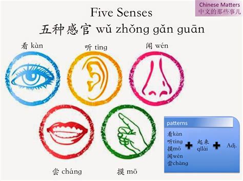 5 senses in chinese 13樓不好賣